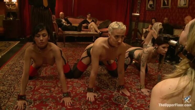 [TheUpperFloor] - Piggy Slave Training: Lily Labeau and Friends - Lily Labeau - Derrick Pierce - Beretta James - Krysta Kaos - Dylan Ryan