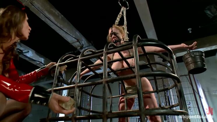 Ariel X Takes Control: Dee Williams Gets Dominated