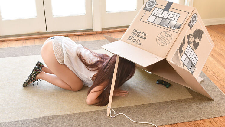 [ExxxtraSmall] - Little Thief Gets Caught