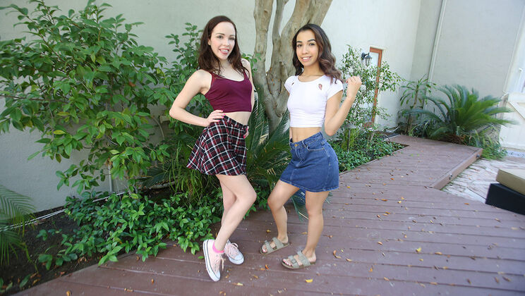 Fantasy Family Fuck Rules