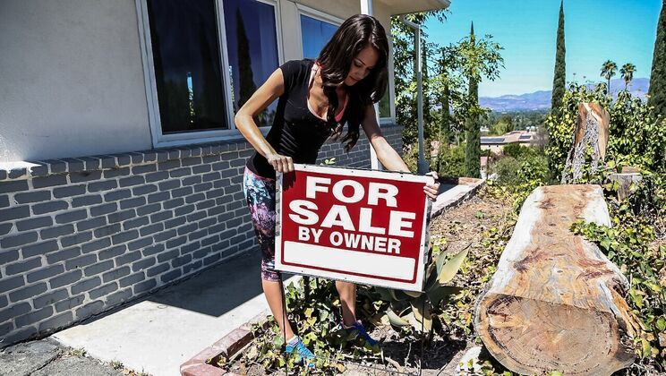 Asian Chick for Sale by Her Owner