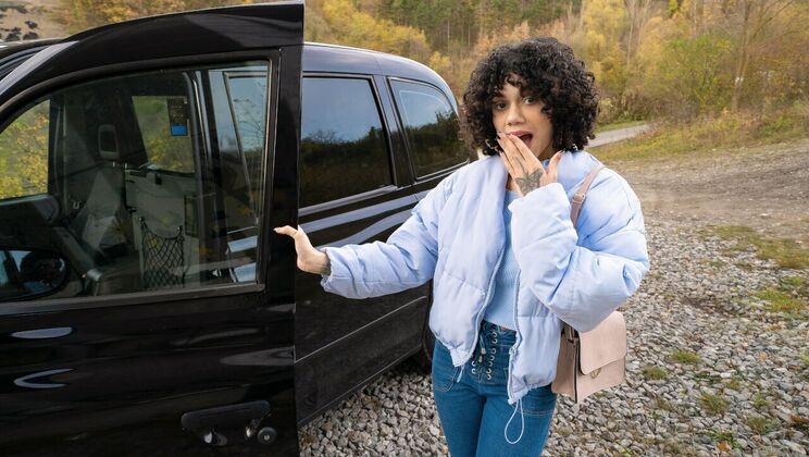 [FakeTaxi] - Blowjob in a Taxi for 20 Euros