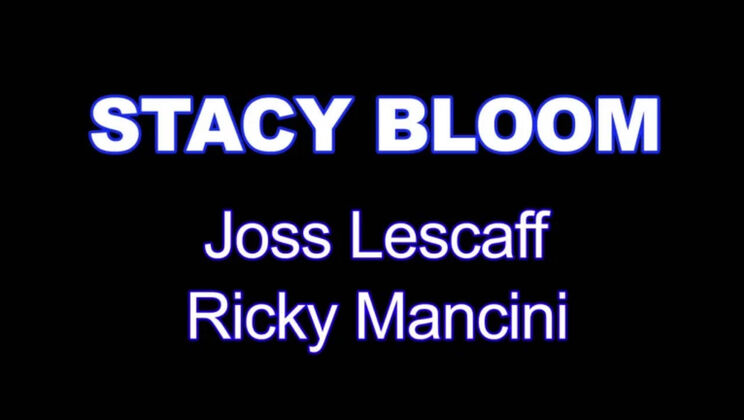 Stacy Bloom's Interracial Hotel Fantasy